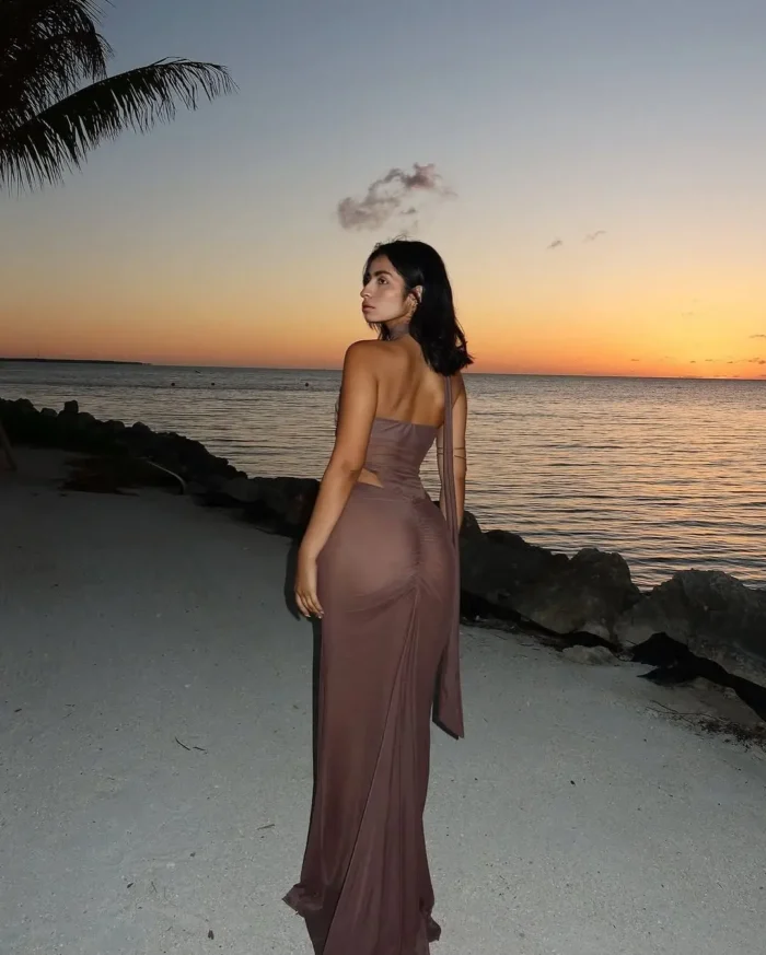 Sheer Mesh Halter Maxi Dress - Image 3